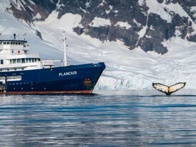 (© Dietmar Denger / Oceanwide Expeditions)