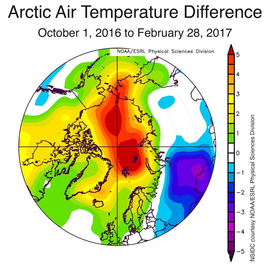 Die Grafik zeigt die arktischen Lufttemperaturunterschiede vom 1. Oktober 2016 bis 28. Februar 2017. Gelb, orange und rot sind die überdurchschnittlichen Temperaturen, blau bis Purpur unterdurchschnittlich. Grafik: NSIDC