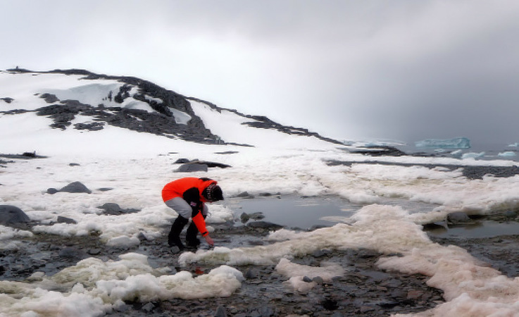 Die Geowissenschaftlerin Julia Kleinteich entnimmt Proben aus Süsswassertümpeln mit Mikroben drin
