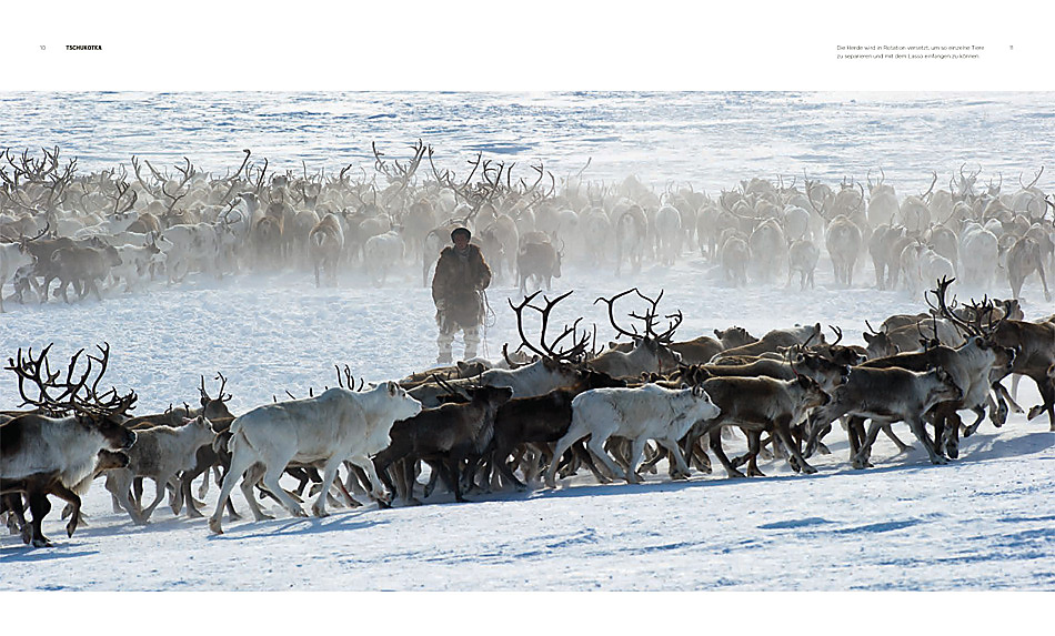 Rentierherde bei den Nomaden in Tschukotka, ganz im Osten von Russland.