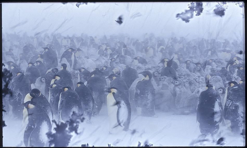 Atmosphärenflüsse verursachen schwere Schneestürme in der Ostantarktis